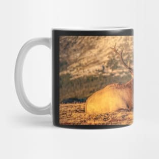 A Nap At Sunset Above It All Mug